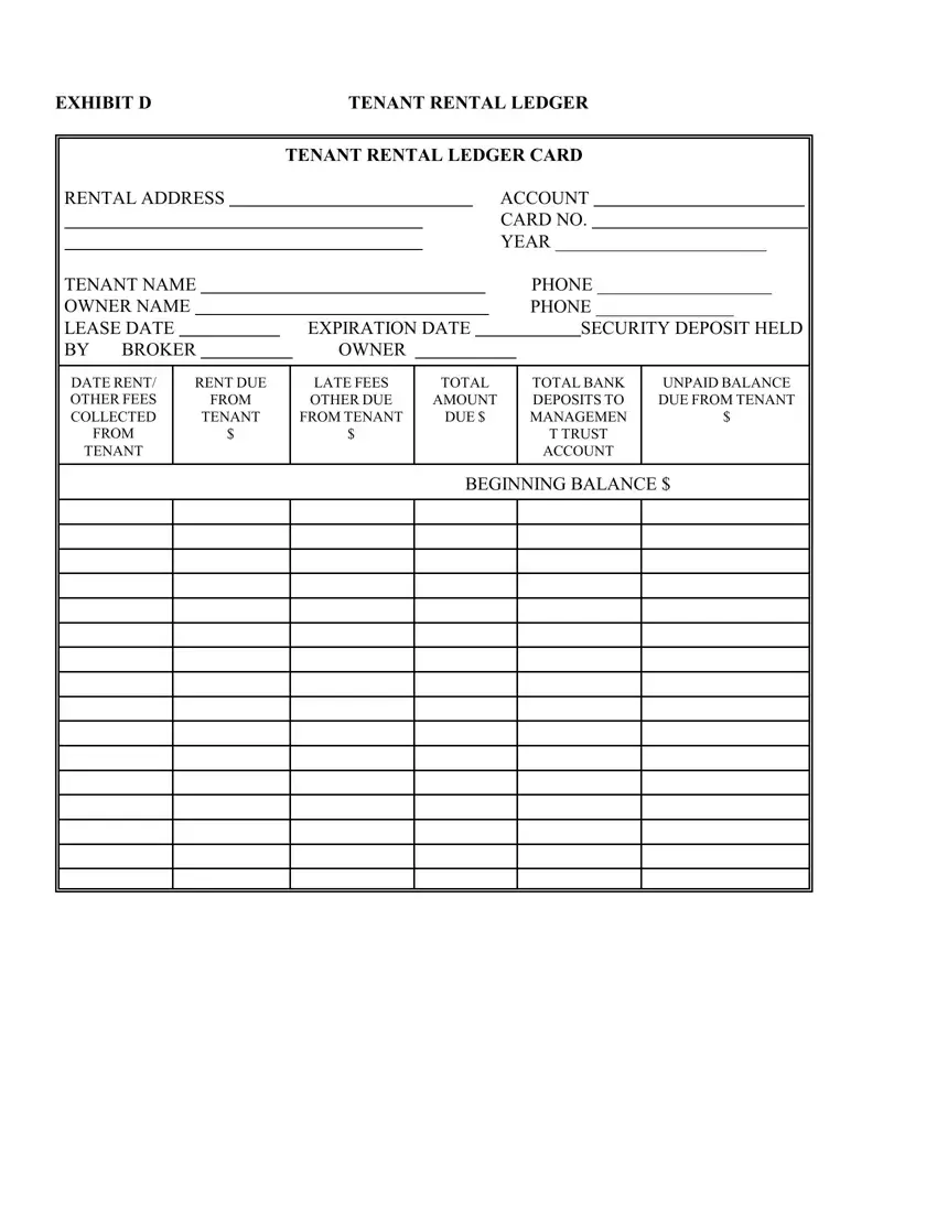 Tenant Ledger Card first page preview